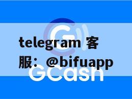 GCash原生支付通道图示