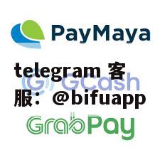 菲律宾支付通道 GCash原生代收代付