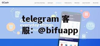 币付Pay 菲律宾支付平台