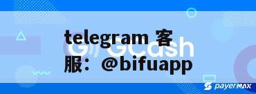 菲律宾三方支付 D0 秒结指南