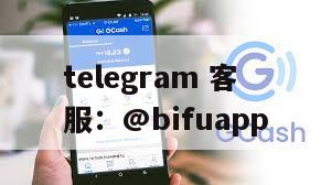菲律宾三方支付｜GCash原生直连+D0结算，币付Pay打造跨境商户高效收款新标配